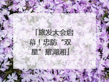 旅发大会启幕！忠防“双星”耀湖湘