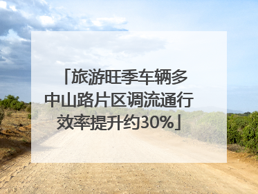 旅游旺季车辆多 中山路片区调流通行效率提升约30%