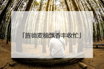 旌德麦穗飘香丰收忙