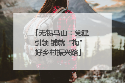 无锡马山：党建引领 铺就“梅”好乡村振兴路
