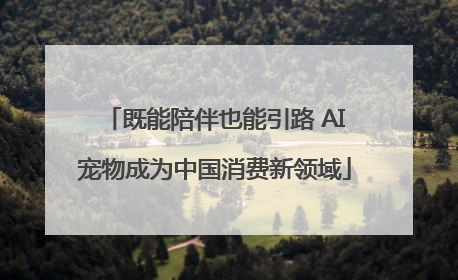 既能陪伴也能引路 AI宠物成为中国消费新领域