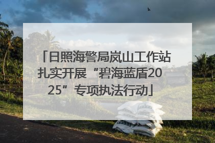 日照海警局岚山工作站扎实开展“碧海蓝盾2025”专项执法行动