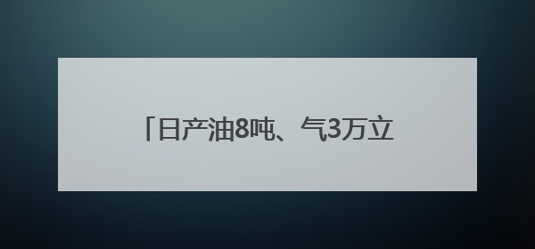 日产油8吨、气3万立方米 大庆油田营页1H井页岩油试采“逆袭”