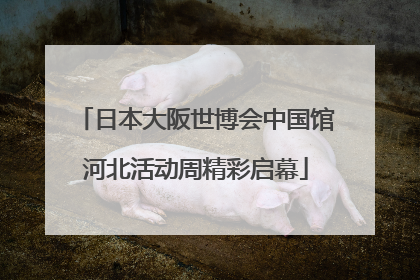 日本大阪世博会中国馆河北活动周精彩启幕