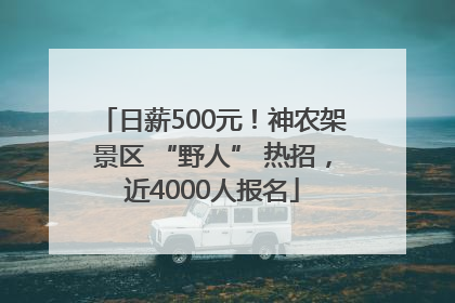 日薪500元！神农架景区 “野人” 热招，近4000人报名