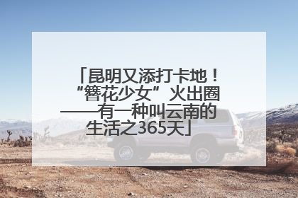 昆明又添打卡地！“簪花少女”火出圈——有一种叫云南的生活之365天