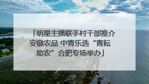 明星主播联手村干部推介安徽农品 中青乐选“青耘助农”合肥专场举办