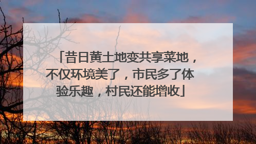 昔日黄土地变共享菜地，不仅环境美了，市民多了体验乐趣，村民还能增收