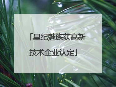 星纪魅族获高新技术企业认定