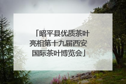 昭平县优质茶叶亮相第十九届西安国际茶叶博览会