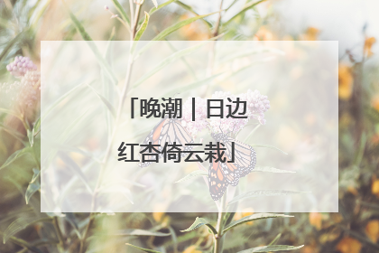 晚潮｜日边红杏倚云栽