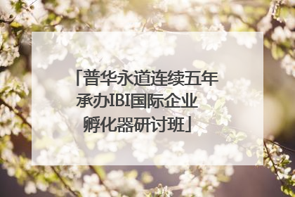 普华永道连续五年承办IBI国际企业孵化器研讨班