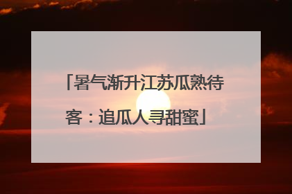 暑气渐升江苏瓜熟待客：追瓜人寻甜蜜