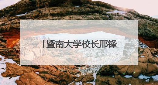 暨南大学校长邢锋：不+人工智能，就会被人工智能+