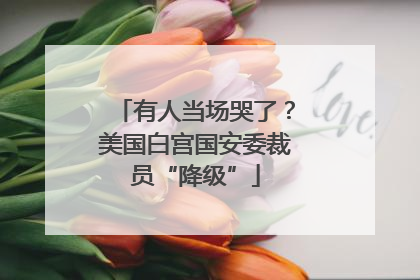 有人当场哭了？美国白宫国安委裁员“降级”