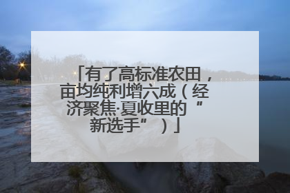 有了高标准农田，亩均纯利增六成（经济聚焦·夏收里的“新选手”）