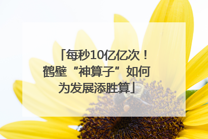 每秒10亿亿次！鹤壁“神算子”如何为发展添胜算