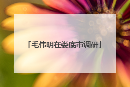 毛伟明在娄底市调研