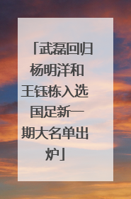 武磊回归 杨明洋和王钰栋入选 国足新一期大名单出炉