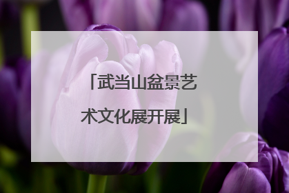 武当山盆景艺术文化展开展