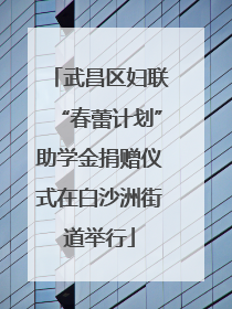 武昌区妇联“春蕾计划”助学金捐赠仪式在白沙洲街道举行