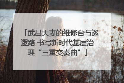 武昌夫妻的维修台与巡逻路 书写新时代基层治理“三重变奏曲”