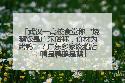 武汉一高校食堂称“烧鹅饭是广东俗称，食材为烤鸭”？广东多家烧鹅店：鸭是鸭鹅是鹅