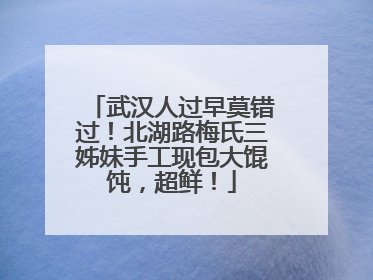 武汉人过早莫错过！北湖路梅氏三姊妹手工现包大馄饨，超鲜！