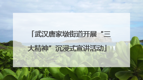武汉唐家墩街道开展“三大精神”沉浸式宣讲活动