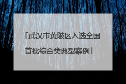 武汉市黄陂区入选全国首批综合类典型案例