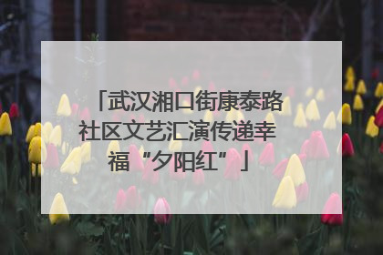 武汉湘口街康泰路社区文艺汇演传递幸福“夕阳红”