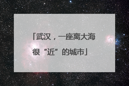 武汉，一座离大海很“近”的城市