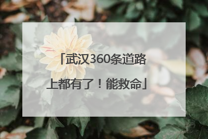 武汉360条道路上都有了！能救命