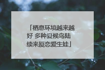 栖息环境越来越好 多种夏候鸟陆续来厦恋爱生娃