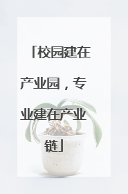 校园建在产业园，专业建在产业链