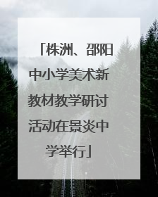 株洲、邵阳中小学美术新教材教学研讨活动在景炎中学举行