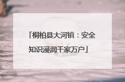桐柏县大河镇：安全知识浸润千家万户