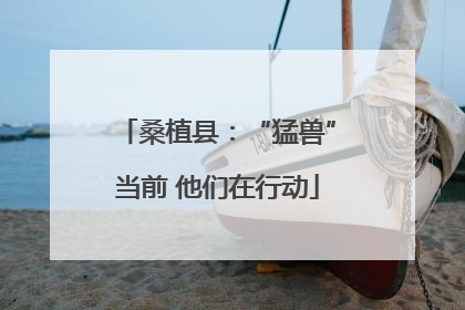桑植县：“猛兽”当前 他们在行动