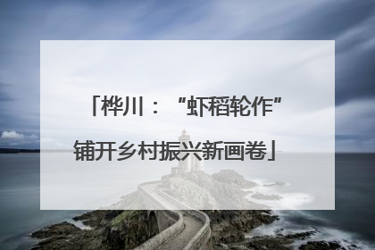 桦川：“虾稻轮作”铺开乡村振兴新画卷