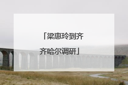 梁惠玲到齐齐哈尔调研