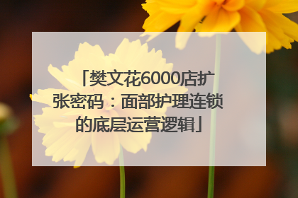 樊文花6000店扩张密码：面部护理连锁的底层运营逻辑