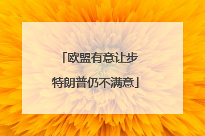 欧盟有意让步 特朗普仍不满意