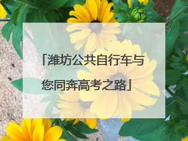 潍坊公共自行车与您同奔高考之路