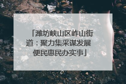 潍坊峡山区岞山街道：聚力集采谋发展 便民惠民办实事
