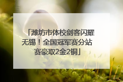 潍坊市体校剑客闪耀无锡！全国冠军赛分站赛豪取2金2铜