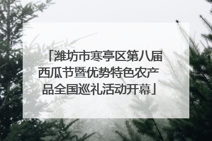 潍坊市寒亭区第八届西瓜节暨优势特色农产品全国巡礼活动开幕