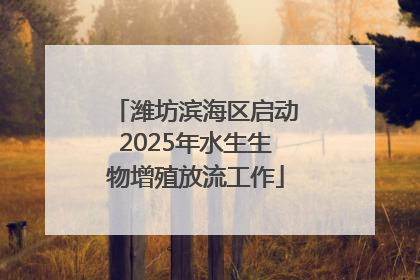 潍坊滨海区启动2025年水生生物增殖放流工作