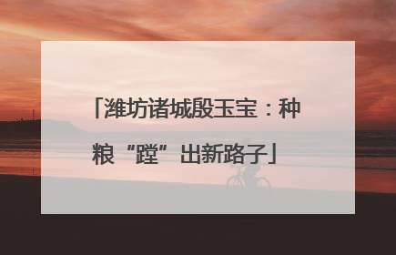 潍坊诸城殷玉宝：种粮“蹚”出新路子