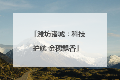 潍坊诸城：科技护航 金穗飘香