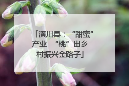 潢川县：“甜蜜”产业  “桃”出乡村振兴金路子